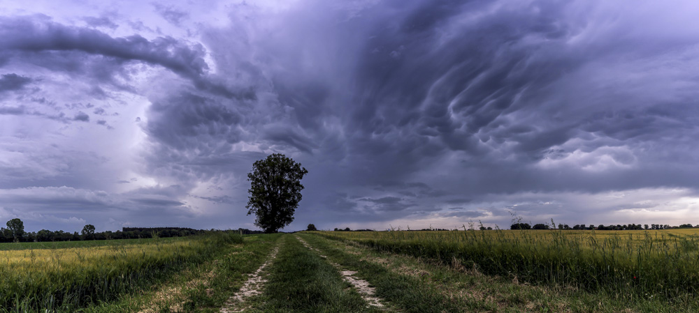 Platz 8 Sieglinde Senser